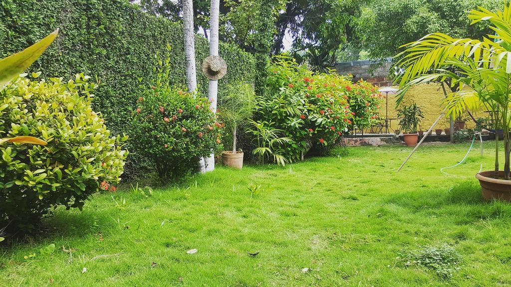 Hostal El Jardin León Kültér fotó