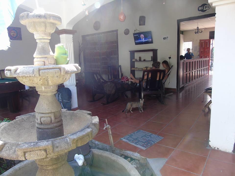 Hostal El Jardin León Kültér fotó